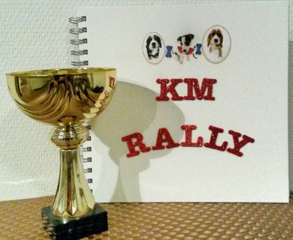 KM_rally